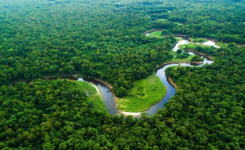 Dia da Amazônia tem programação especial e mobiliza para a COP30