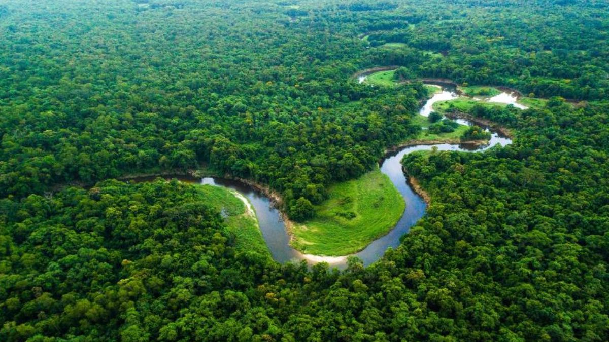 Dia da Amazônia tem programação especial e mobiliza para a COP30