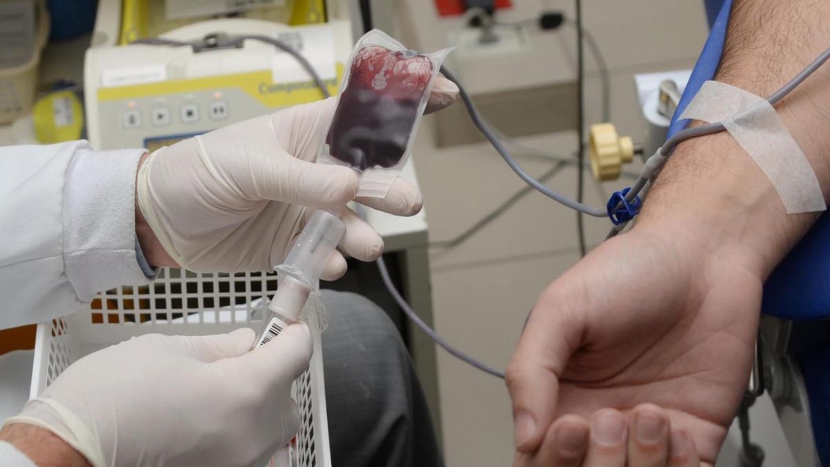 Estácio Friburgo promove trote solidário com doação de sangue dia 29