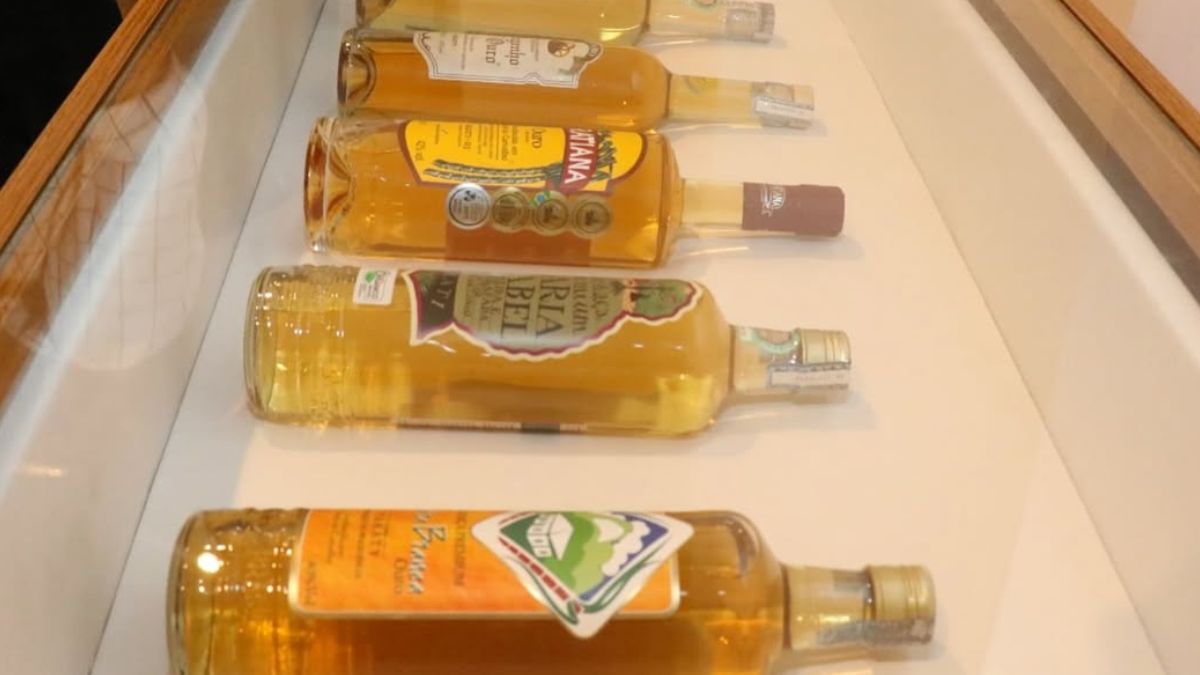 Exposição sobre cachaça chega a Nova Friburgo com entrada gratuita