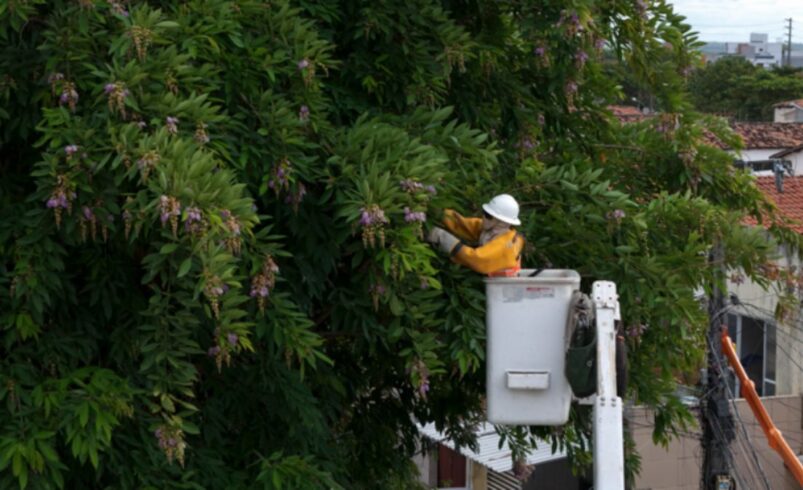 Falta de energia afeta 165 mil pessoas em Nova Friburgo por causa de galhos