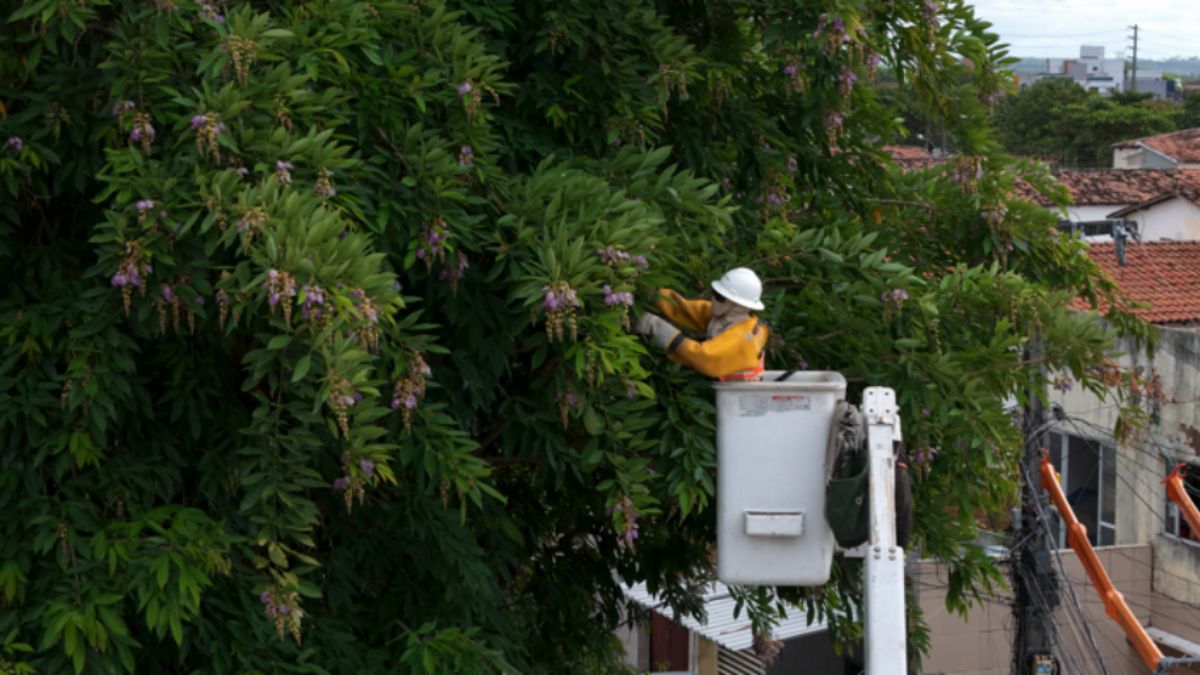 Falta de energia afeta 165 mil pessoas em Nova Friburgo por causa de galhos