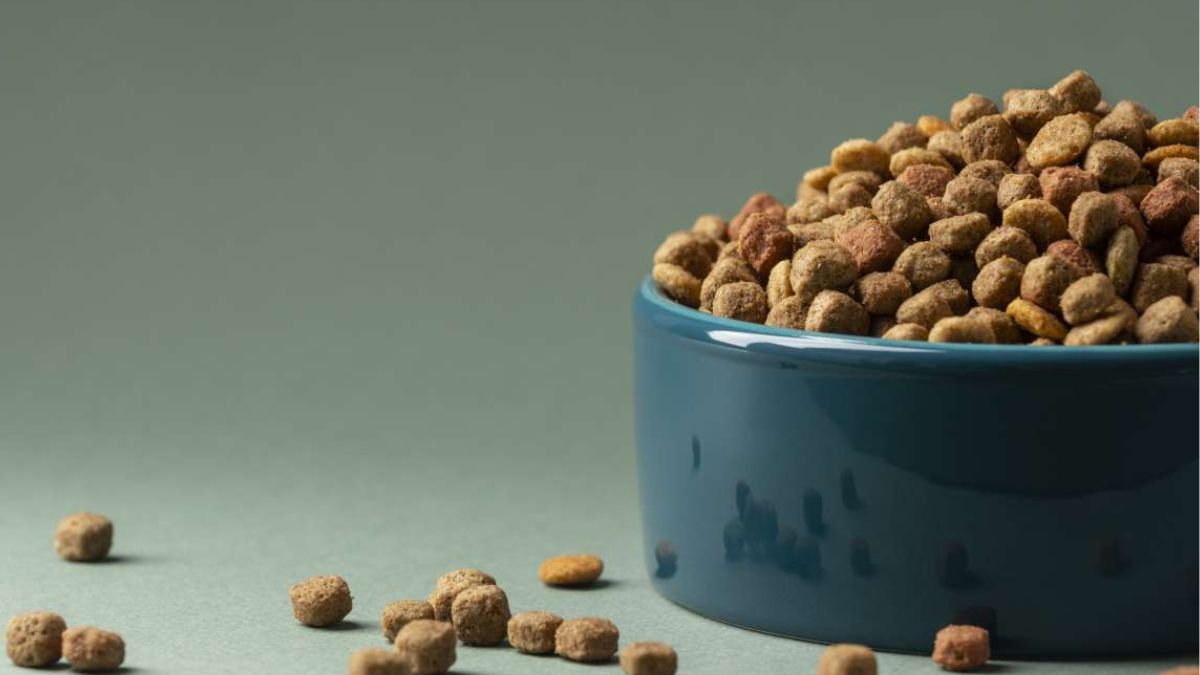 Nova Friburgo cria Banco de Ração Solidário para pets e protetores