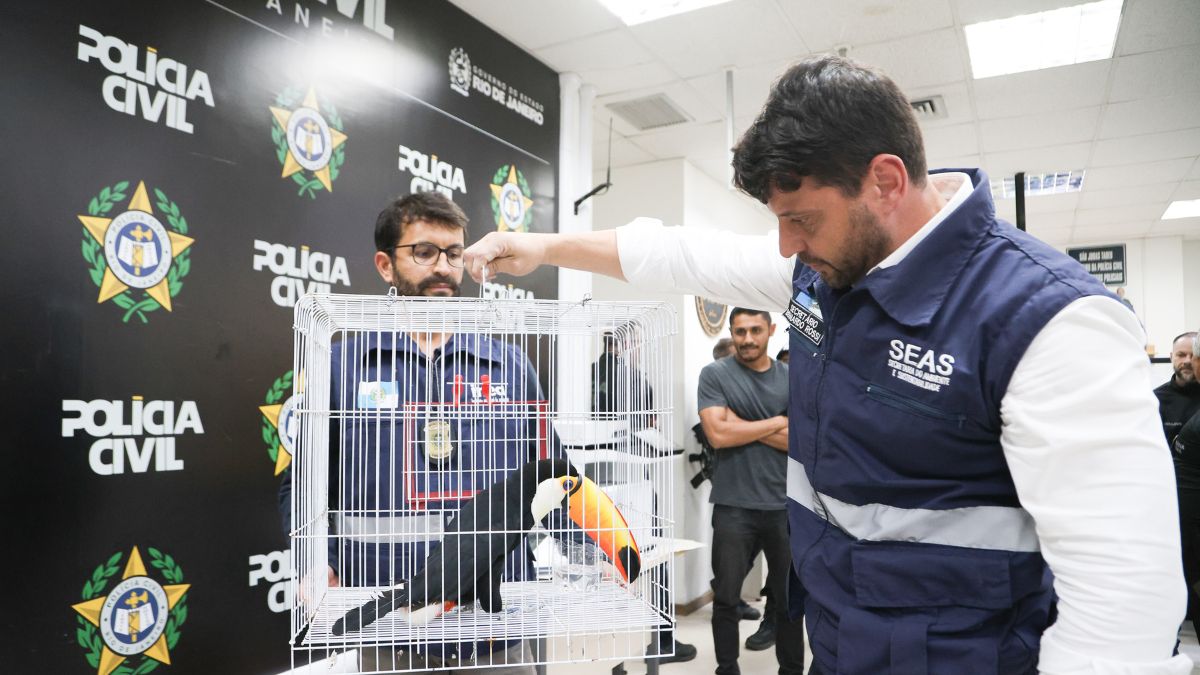 Inea resgata mais de 800 animais silvestres em megaoperação no RJ