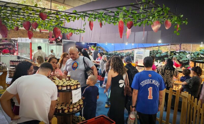11ª Festa do Morango com Chocolate começa em Nova Friburgo dia 9