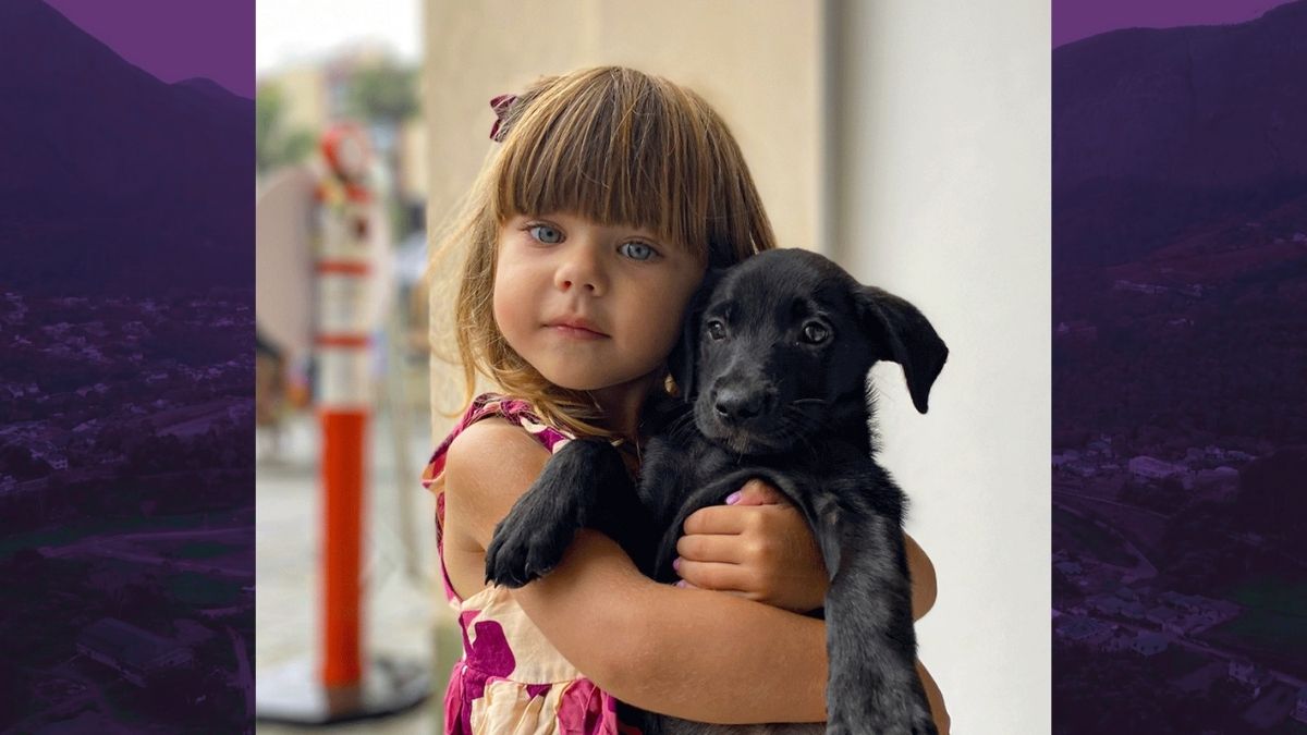 Campanha de adoção de cães da SEBEA acontece dia 18 em Friburgo