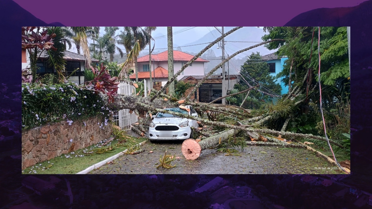 Fortes ventos causaram danos em Friburgo no último domingo,19