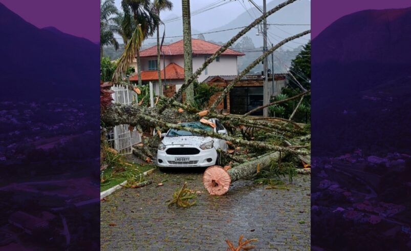 Fortes ventos causaram danos em Friburgo no último domingo,19