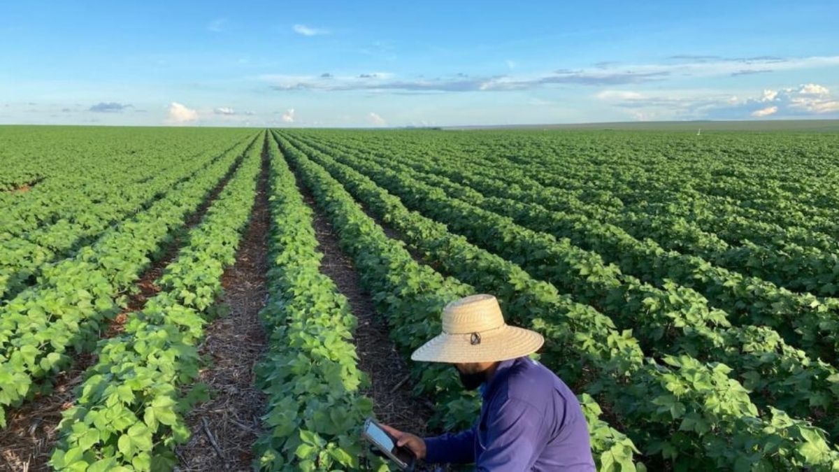 Nova Friburgo sedia conferência sobre desenvolvimento rural com foco na agricultura familiar
