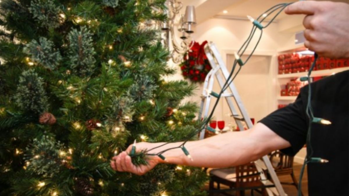 Enfeites de Natal: cuidados com segurança evitam acidentes elétricos