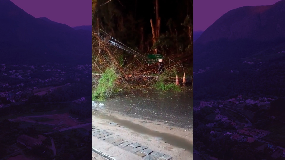 Tragédia na RJ-116: motociclista morre ao colidir em árvore