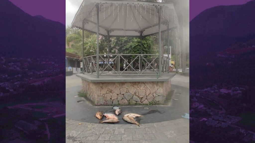 Peixes mortos no lago de Lumiar acendem alerta em Friburgo