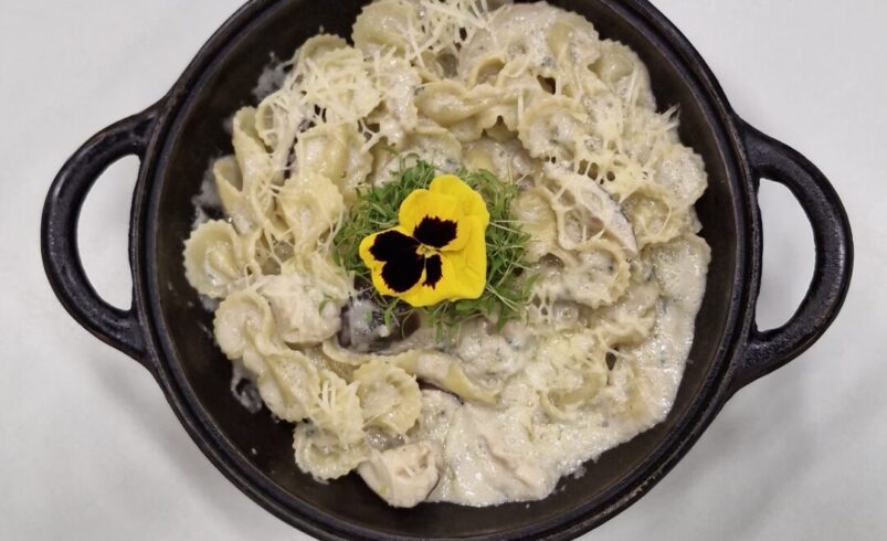 farfalle ao molho gorgonzola no programa toda manha