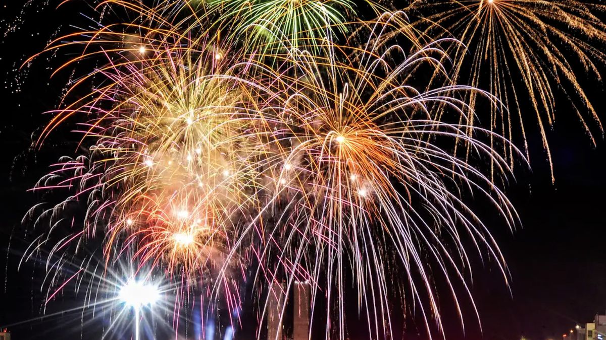 Fogos barulhentos :Lei de Friburgo proíbe e protege animais