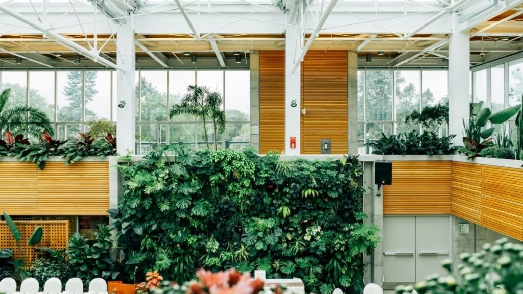 como refrescar sua casa sem ar- condicionado