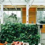 como refrescar sua casa sem ar- condicionado