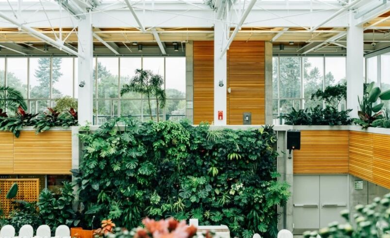 Calor em Friburgo: como refrescar sua casa sem ar-condicionado