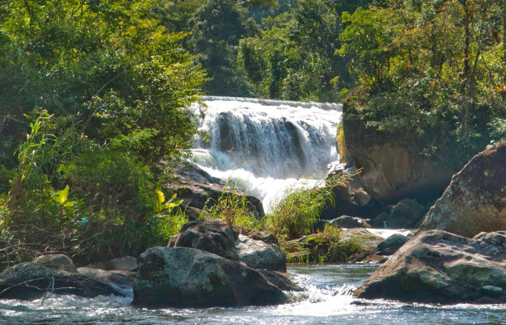 programa imperdíveis para curtir a intaglio