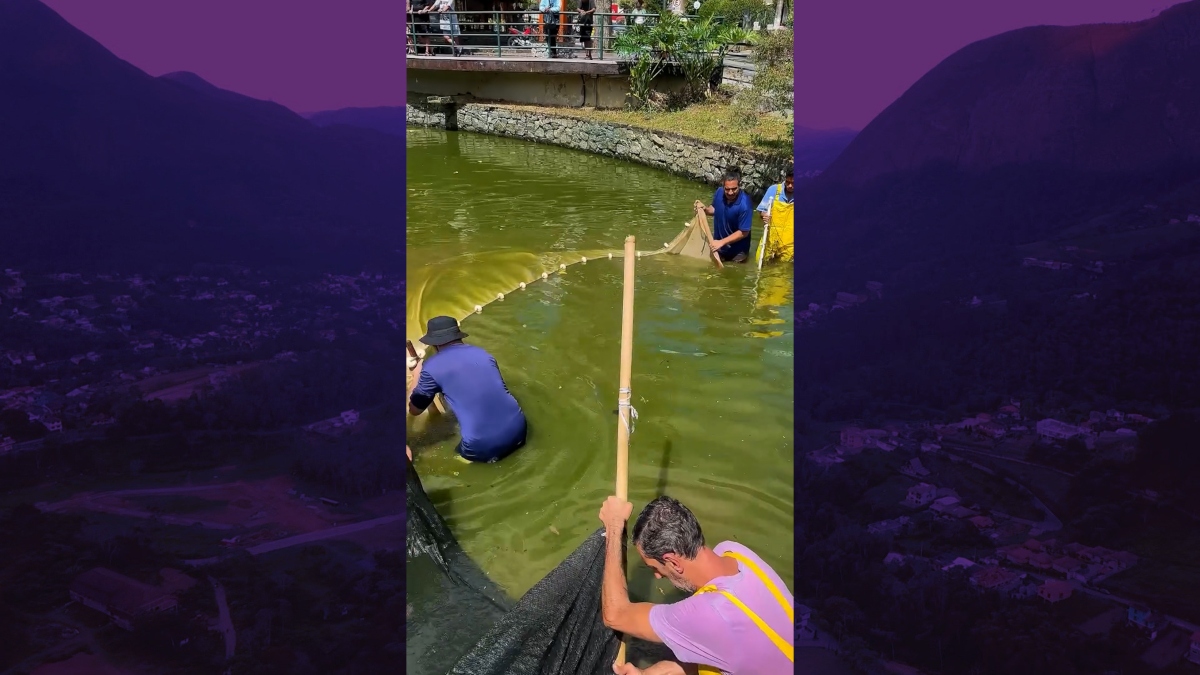 Lago de Lumiar: Prefeitur inicia recuperação do  após morte de peixes