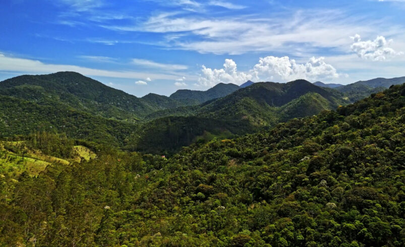 Friburgo faz história com 1ª cota ambiental do Brasil