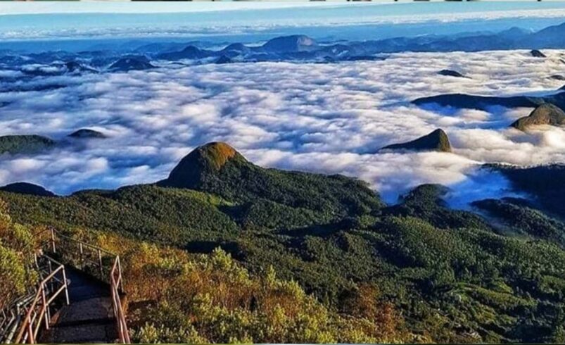 Friburgo conquista credenciamento inédito no FNHIS