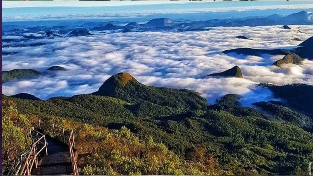 Friburgo conquista credenciamento inédito no FNHIS