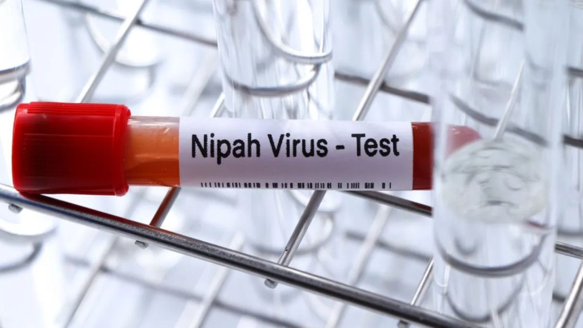 Vírus Nipah entra no radar global e especialistas explicam riscos