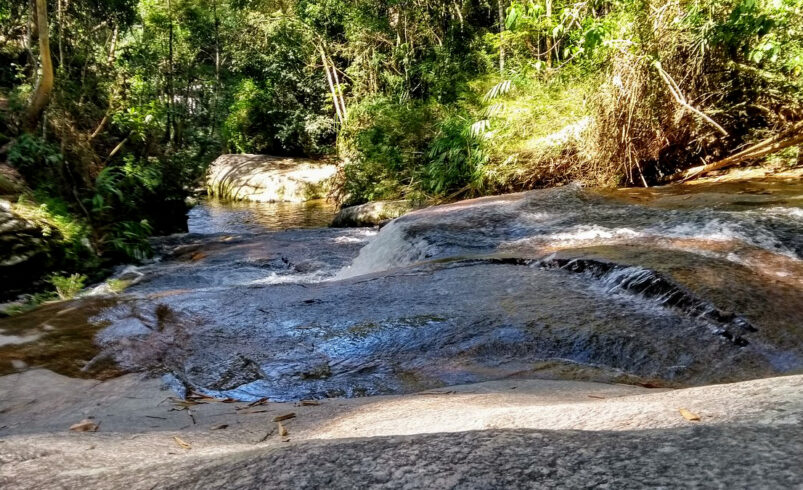 EcoClick promove passeio fotográfico ambiental em Friburgo