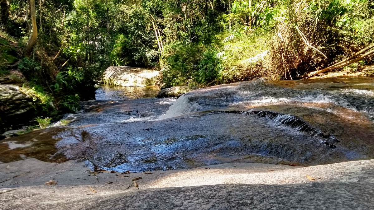 EcoClick promove passeio fotográfico ambiental em Friburgo