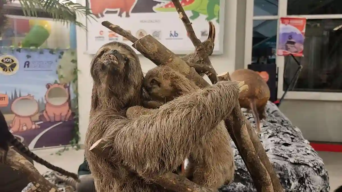 Rota 116 Promove Educação Ambiental em Exposição Única
