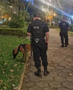 A Guarda Civil Municipal de Friburgo intensificou as fiscalizações por guardas do Grupamento de Operações com Cães pela cidade