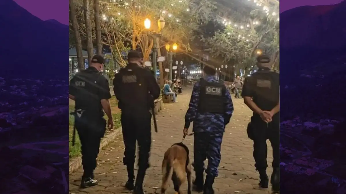 Guarda Civil amplia patrulhamento com cães em Friburgo