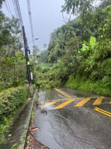 Estrada do Girassol, que ficou temporariamente interditada para limpeza dos galhos na pista