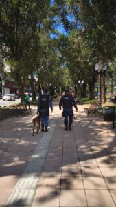 Equipe de operações com cães