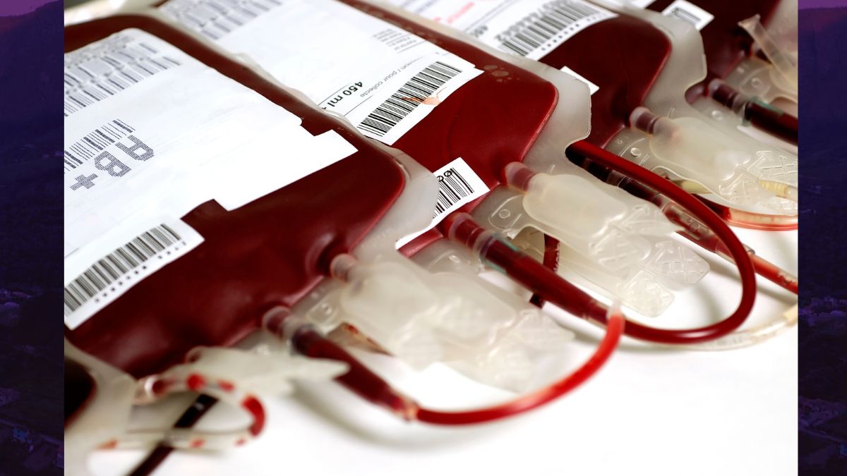 Doar sangue: um gesto simples que salva vidas