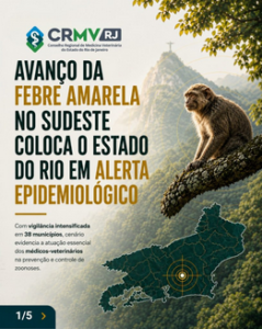 SES-RJ intensifica ações de vigilância contra febre amarela no estado do Rio de Janeiro