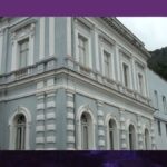 Pesquisa da UFF destaca potencial do própolis contra câncer