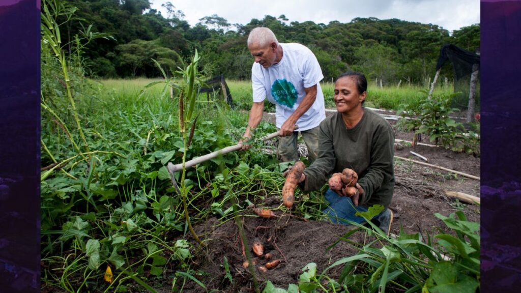 Estado cria programa para incentivar conservação ambiental
