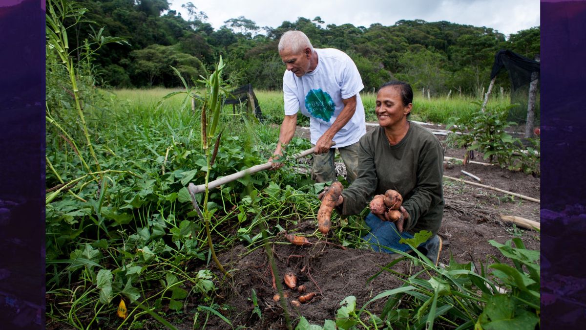 Estado cria programa para incentivar conservação ambiental