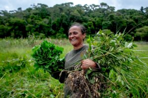 Estado cria programa para incentivar conservação ambiental