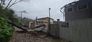 Araucária atingiu casa e carro no Parque São Clemente