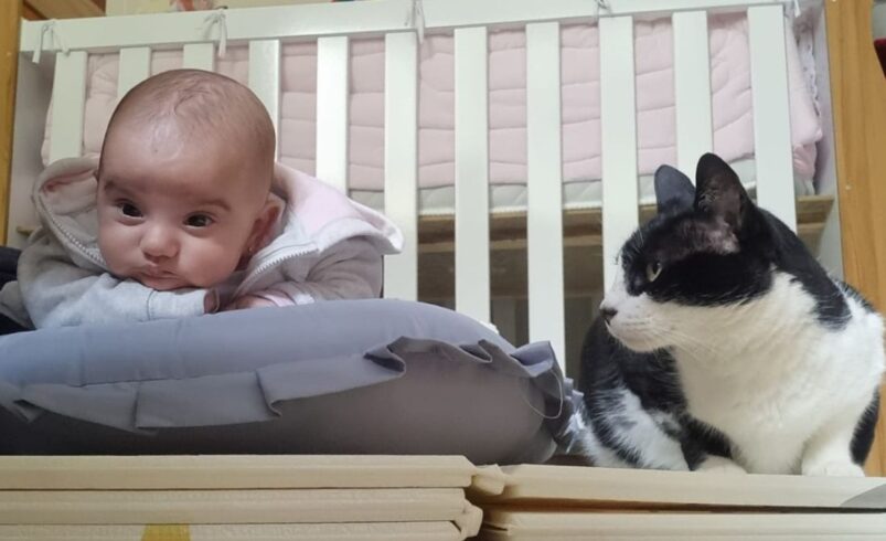 Gato e bebê podem conviver? A rotina real de Kioshy e Julia