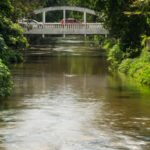 Mutirão promove limpeza às margens do Rio Bengalas em Friburgo