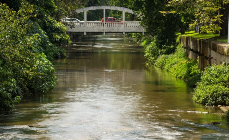 Mutirão promove limpeza às margens do Rio Bengalas em Friburgo Mutirão promove limpeza às margens do Rio Bengalas em Friburgo