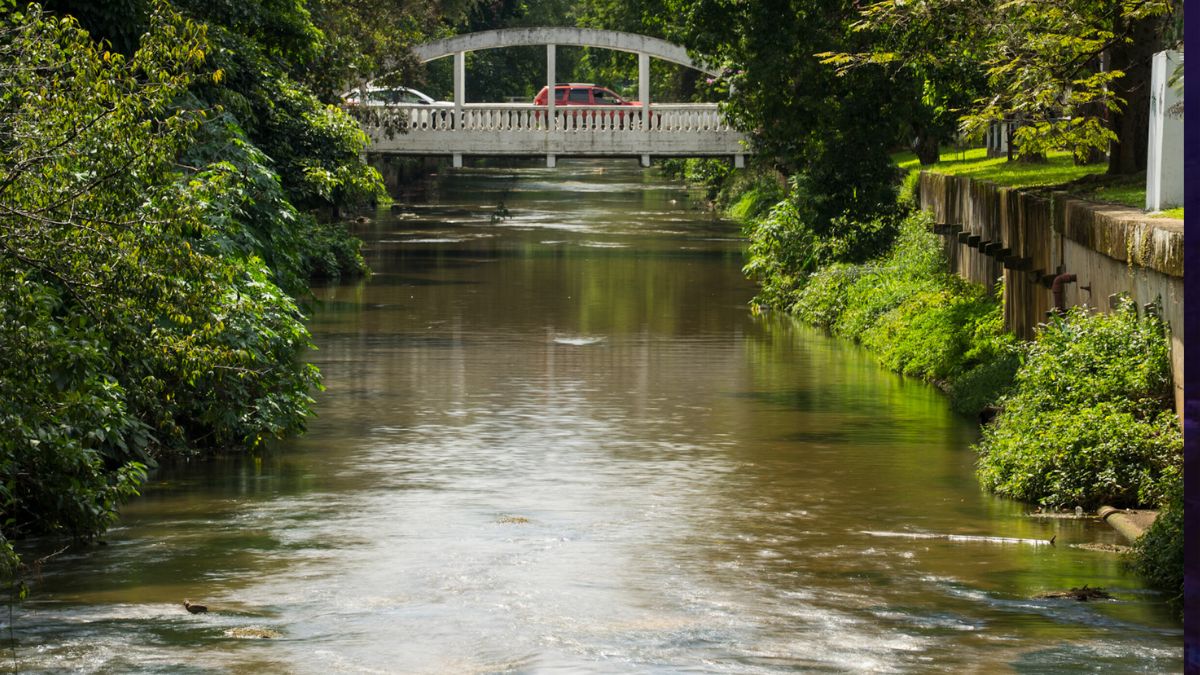 Mutirão promove limpeza às margens do Rio Bengalas em Friburgo