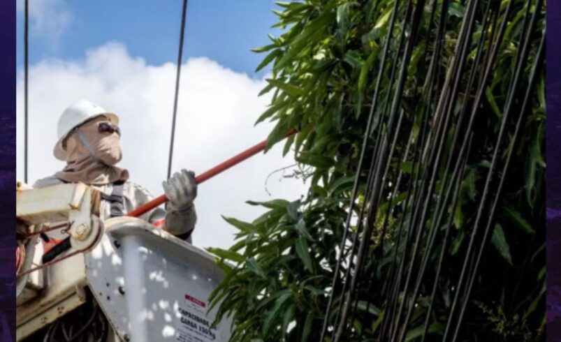 Trabalho em altura ganha novas regras e reforça cuidados com a rede elétrica Trabalho em altura ganha novas regras e reforça cuidados com a rede elétrica