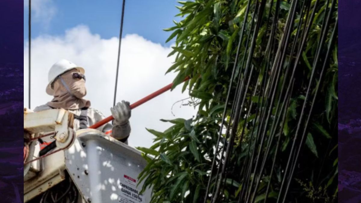 Trabalho em altura ganha novas regras e reforça cuidados com a rede elétrica
