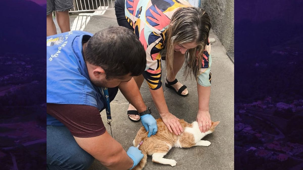 Vacinação antirrábica imuniza quase 7 mil animais em Friburgo