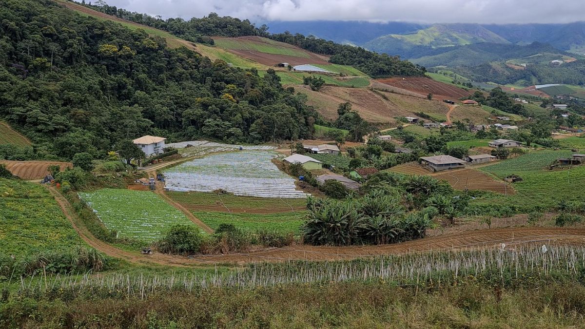Friburgo cria política municipal de agroecologia e produção orgânica
