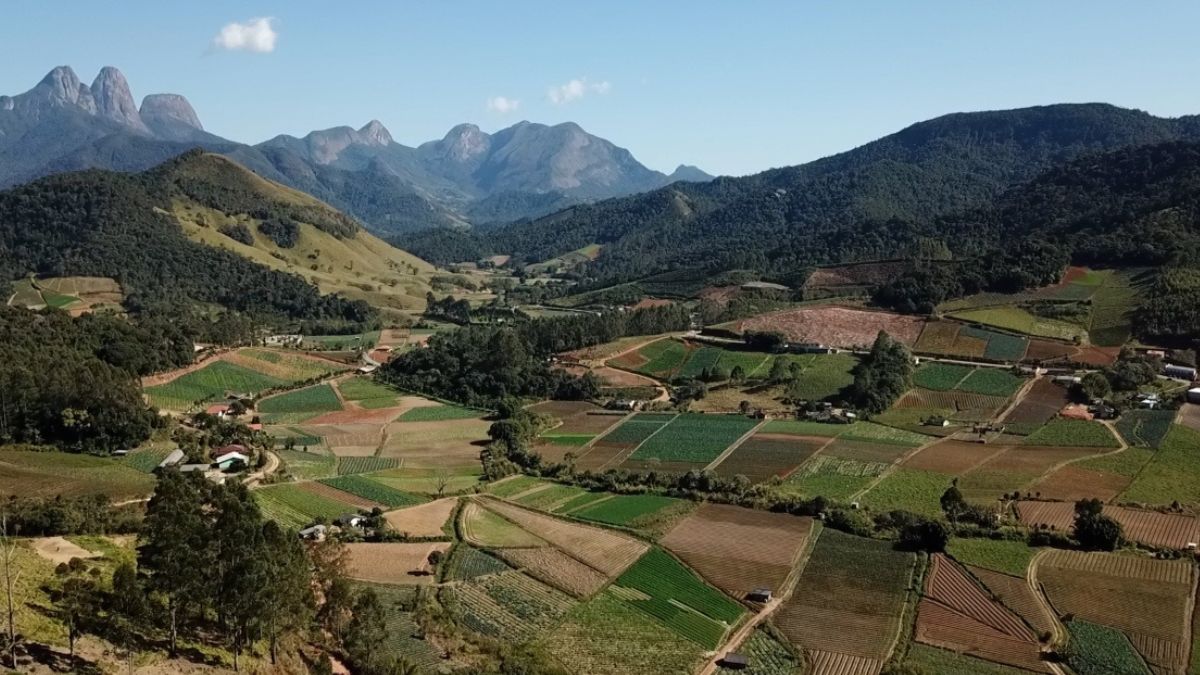 Friburgo cria política municipal de agroecologia e produção orgânica